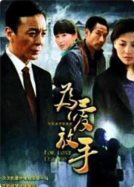 2011年1月播出的高分电视剧汇总,你追过哪部?