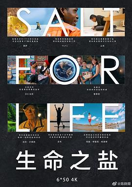 2019年4月播出的高分电视剧汇总,你追过哪部?