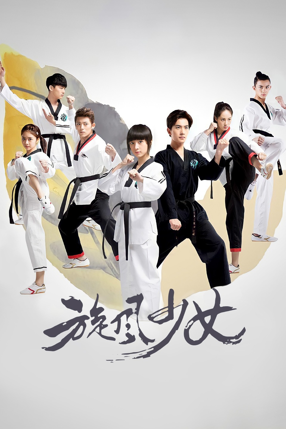 2015年6月播出的高分电视剧汇总,你追过哪部?