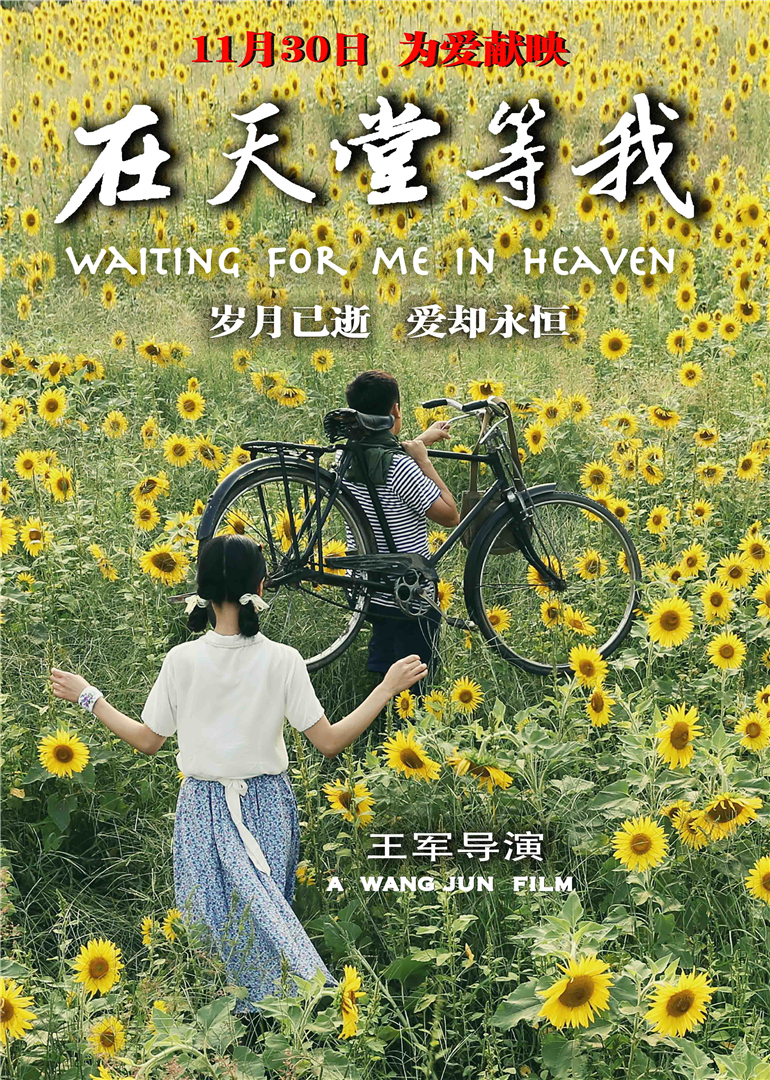 2018年11月上映的高分电影汇总,【必看推荐】建议收藏