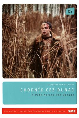 跨越多瑙河的隧道