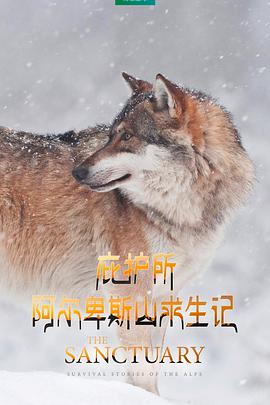 2019年2月上映的高分电影汇总,【必看推荐】建议收藏