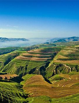 2014年10月播出的高分电视剧汇总,你追过哪部?