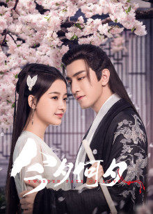 2020年11月播出的高分电视剧汇总,你追过哪部?