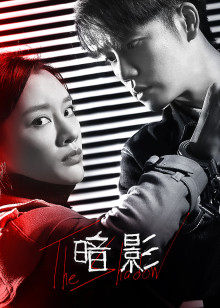 2021年1月播出的高分电视剧汇总,你追过哪部?