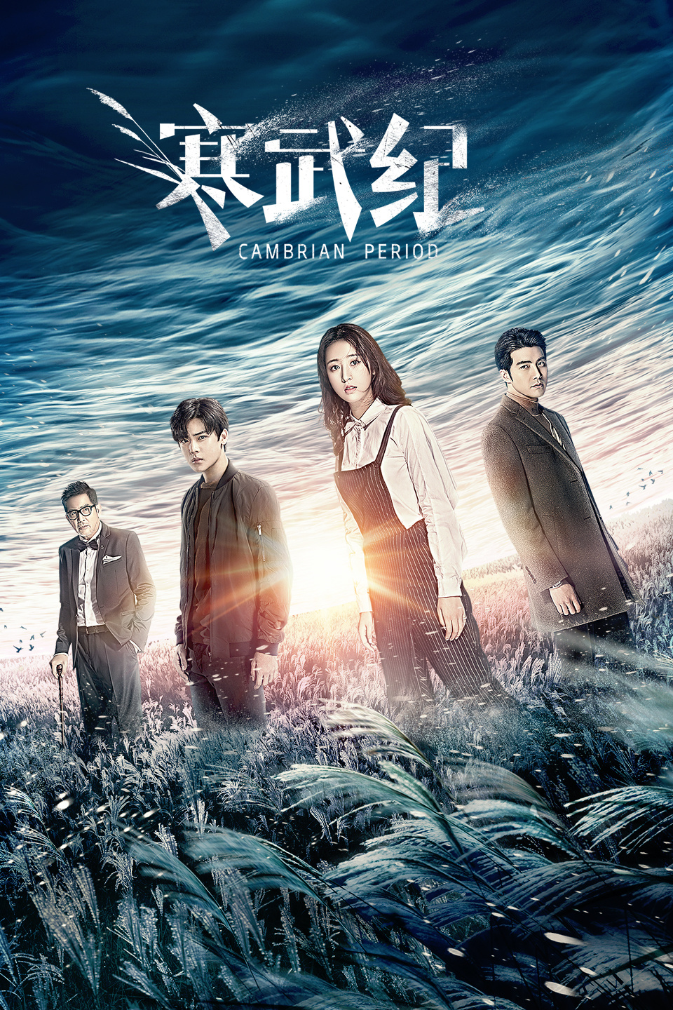 2017年5月播出的高分电视剧汇总,你追过哪部?