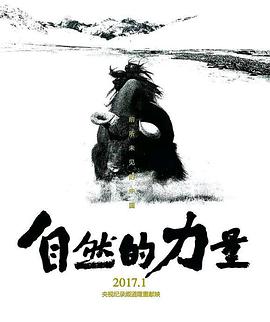 2016年12月上映的高分电影汇总,【必看推荐】建议收藏