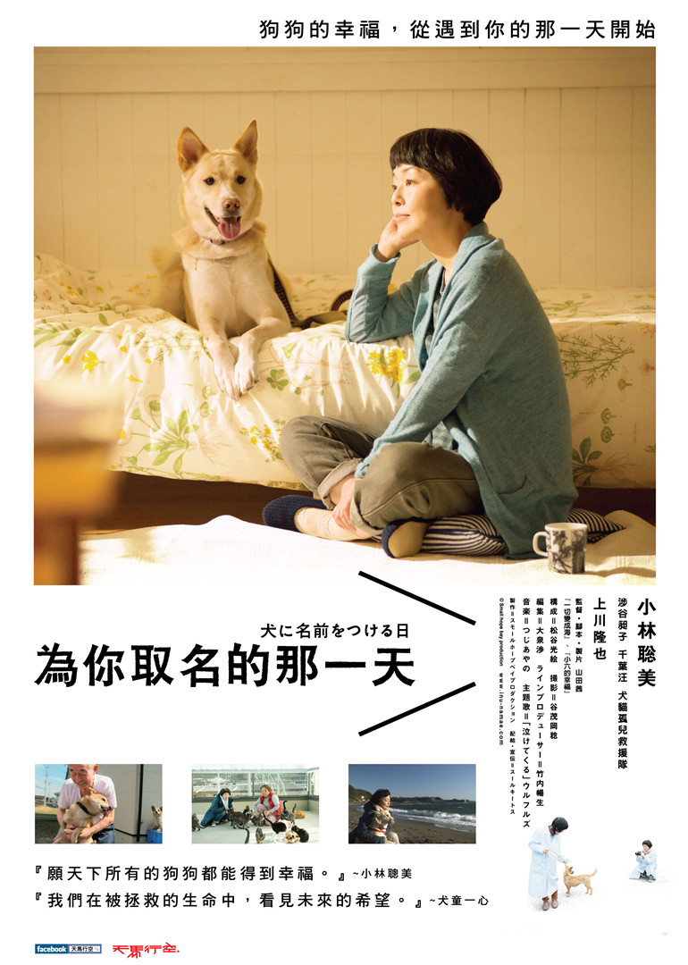 2015年10月上映的高分电影汇总,【必看推荐】建议收藏