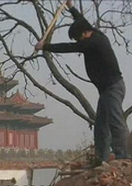 2010年4月上映的高分电影汇总,【必看推荐】建议收藏