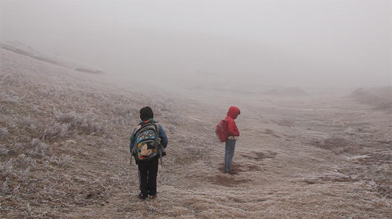 2018年4月上映的高分电影汇总,【必看推荐】建议收藏