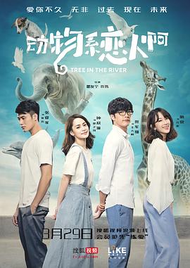 2018年3月播出的高分电视剧汇总,你追过哪部?