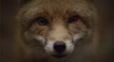 2012年9月上映的高分电影汇总,【必看推荐】建议收藏