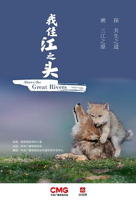 2022年3月播出的高分电视剧汇总,你追过哪部?