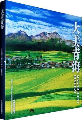 2011年2月播出的高分电视剧汇总,你追过哪部?