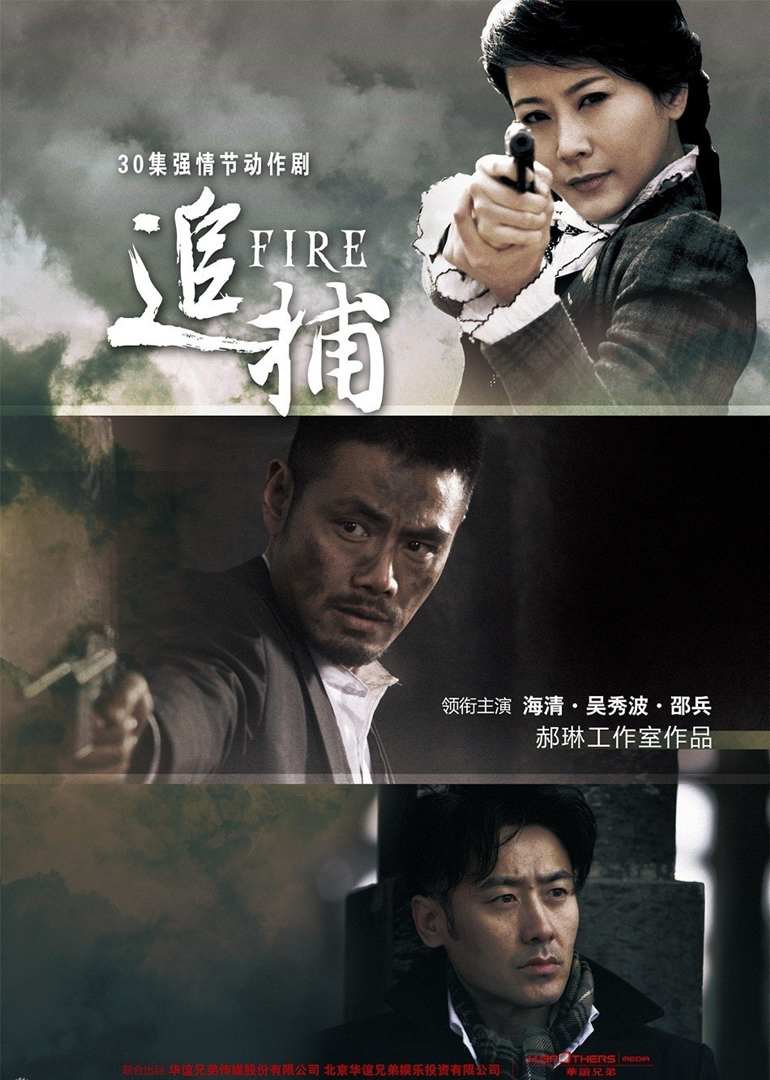 2010年11月播出的高分电视剧汇总,你追过哪部?