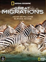 2010年11月上映的高分电影汇总,【必看推荐】建议收藏