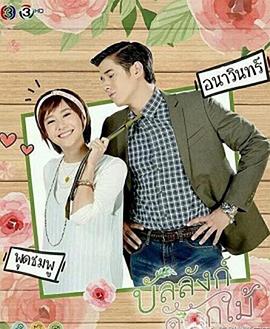 2017年2月播出的高分电视剧汇总,你追过哪部?