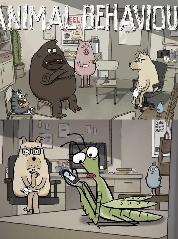 2018年6月上映的高分电影汇总,【必看推荐】建议收藏