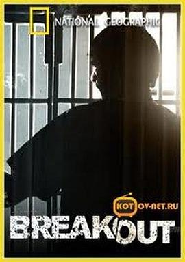 2010年4月播出的高分电视剧汇总,你追过哪部?