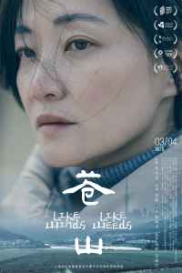 2025年3月上映的高分电影汇总,【必看推荐】建议收藏