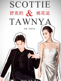 2021年1月播出的高分电视剧汇总,你追过哪部?