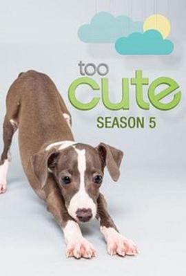 2014年8月上映的高分电影汇总,【必看推荐】建议收藏