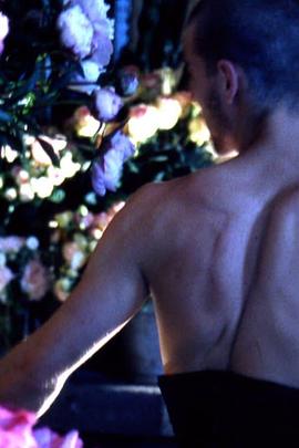 Quelques fleurs pour un chant d