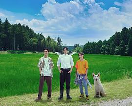 2023年10月播出的高分电视剧汇总,你追过哪部?