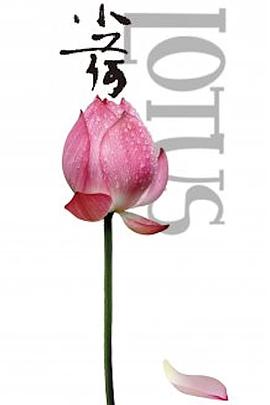 2012年9月上映的高分电影汇总,【必看推荐】建议收藏