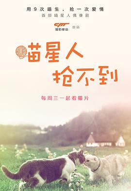 2014年11月播出的高分电视剧汇总,你追过哪部?