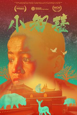 2017年10月上映的高分电影汇总,【必看推荐】建议收藏