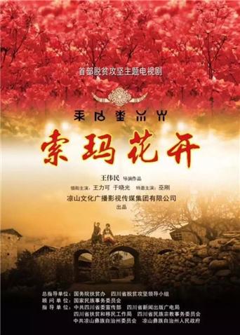 2017年11月播出的高分电视剧汇总,你追过哪部?