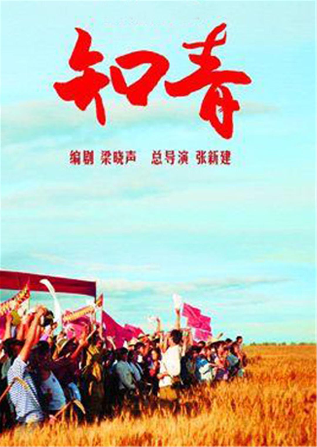 2012年5月播出的高分电视剧汇总,你追过哪部?