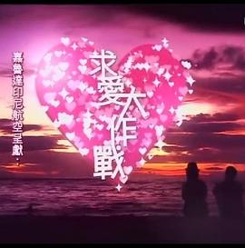 2013年6月播出的高分电视剧汇总,你追过哪部?