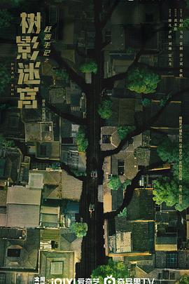 2025年11月播出的高分电视剧汇总,你追过哪部?