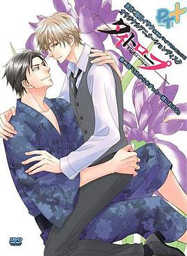 2012年6月播出的高分电视剧汇总,你追过哪部?