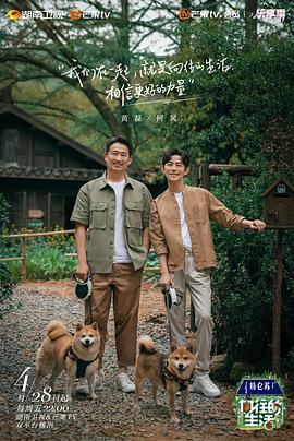 2023年4月播出的高分电视剧汇总,你追过哪部?