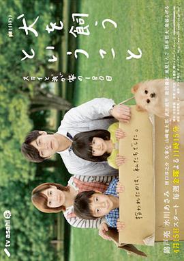 2011年4月播出的高分电视剧汇总,你追过哪部?