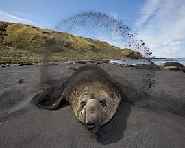 野性巴塔哥尼亚