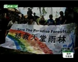 2010年4月播出的高分电视剧汇总,你追过哪部?