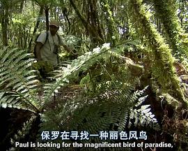 2010年1月上映的高分电影汇总,【必看推荐】建议收藏