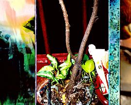 2019年1月上映的高分电影汇总,【必看推荐】建议收藏