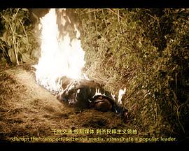 2025年9月播出的高分电视剧汇总,你追过哪部?