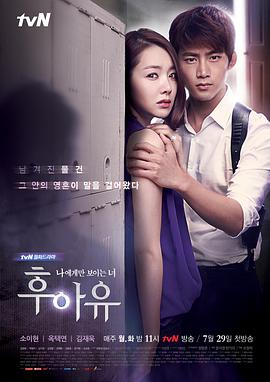 2013年7月播出的高分电视剧汇总,你追过哪部?