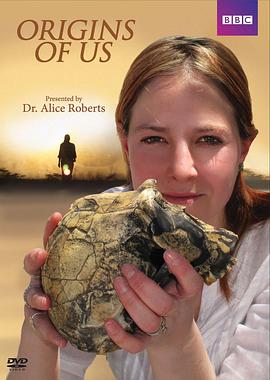 2011年11月上映的高分电影汇总,【必看推荐】建议收藏