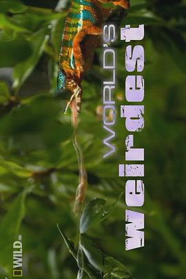 2012年6月上映的高分电影汇总,【必看推荐】建议收藏