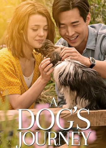 2019年5月上映的高分电影汇总,【必看推荐】建议收藏