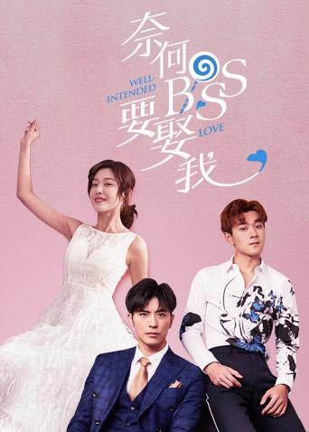 2019年1月播出的高分电视剧汇总,你追过哪部?