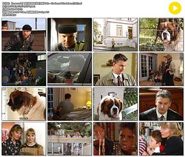 我们的朋友菲利克斯