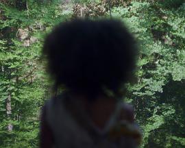 2012年11月上映的高分电影汇总,【必看推荐】建议收藏